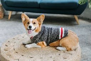 Boyfriend Dog Sweater