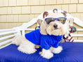 Load image into Gallery viewer, Parisian Pet 'Polo' Dog & Cat T-Shirt – Trendy Cotton Polo, Comfortable & Lightweight – Blue

