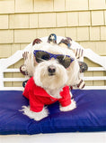 Load image into Gallery viewer, Parisian Pet 'Polo' Dog & Cat T-Shirt – Stylish Cotton, Comfortable & Lightweight Summer Shirt – Red-Valentine's Day
