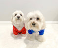 Load image into Gallery viewer, Parisian Pet 'Polo' Dog & Cat T-Shirt – Stylish Cotton, Comfortable & Lightweight Summer Shirt – Red-Valentine's Day
