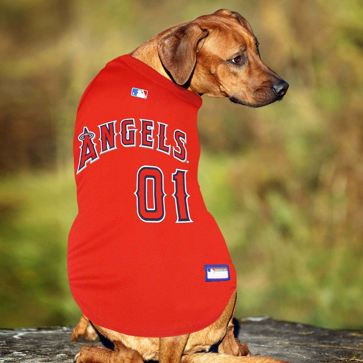 MLB Los Angeles Angels Mesh Dog Jersey