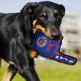 Load image into Gallery viewer, LA Clippers #1 Fan Toy
