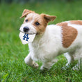 Load image into Gallery viewer, Los Angeles Dodgers Hard Nylon Homeplate Chew Toy

