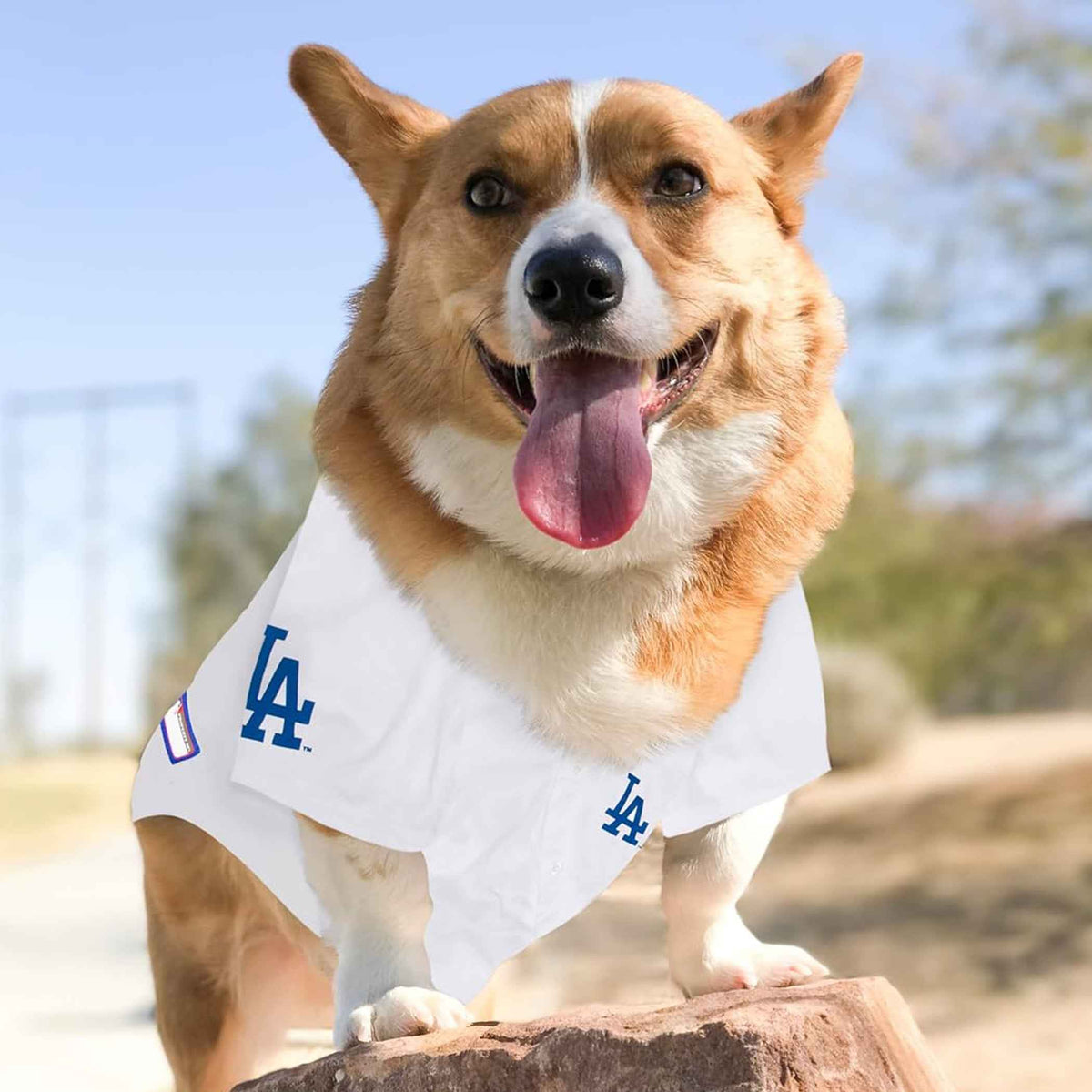 MLB Los Angeles Dodgers Mesh Dog Jersey