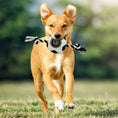 Load image into Gallery viewer, LA Galaxy Soccer Ball Rope Toy
