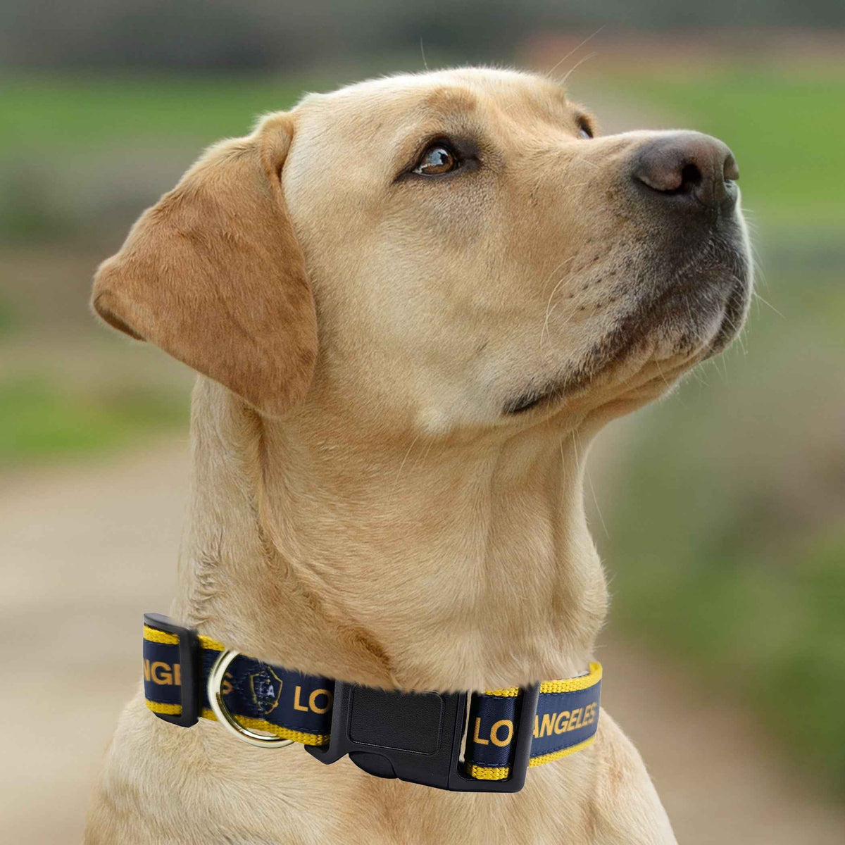 LA Galaxy Satin Collar