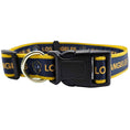Load image into Gallery viewer, LA Galaxy Satin Collar
