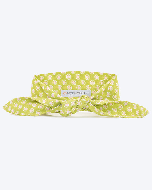 CLASSIC NECKTIE - Southlake Paws