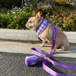 Frenchie Duo Reversible Harness - LA Purple