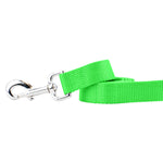 Neon Green Nylon Dog Leash