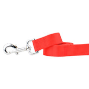 Neon Orange Nylon Dog Leash