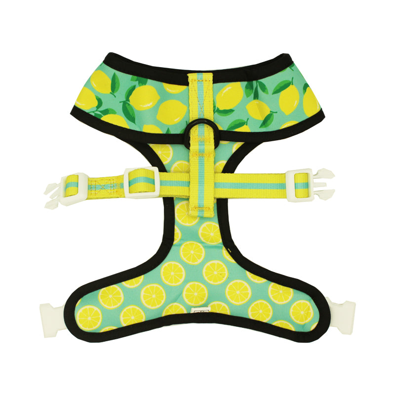 Worth The Squeeze Reversible Harness - Southlake Paws