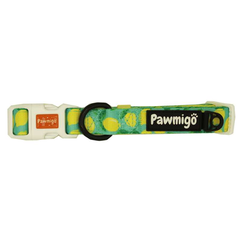 Worth The Squeeze Classic Collar - Southlake Paws