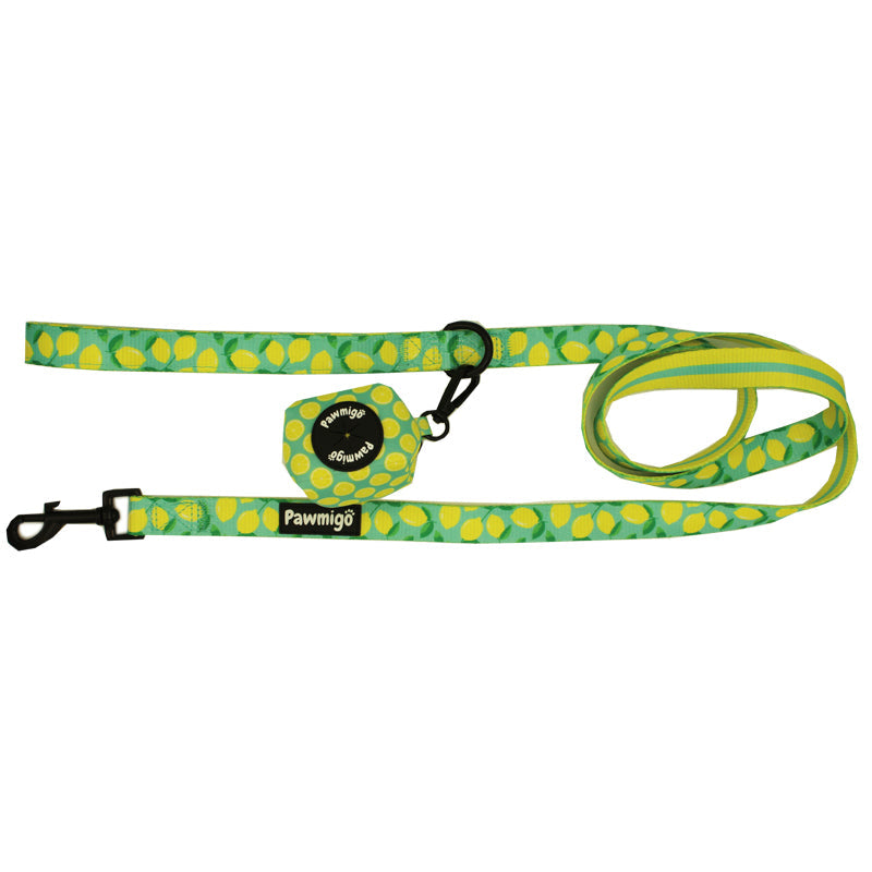 Worth The Squeeze Leash Kit - Southlake Paws