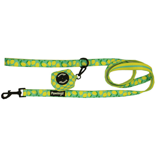 Worth The Squeeze Leash Kit - Southlake Paws