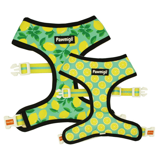 Worth The Squeeze Reversible Harness - Southlake Paws