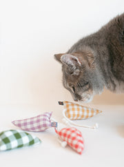 MODERN MOUSE - GINGHAM