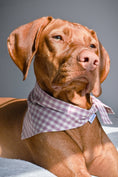 Load image into Gallery viewer, GINGHAM BANDANA - Southlake Paws
