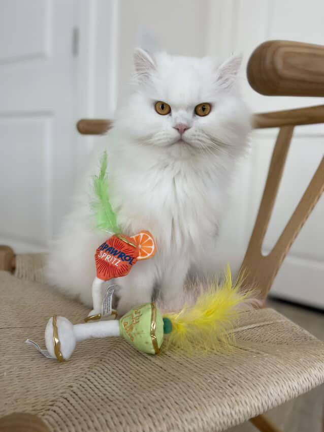 Kitty Cocktails (2 cocktails) Catnip Toys