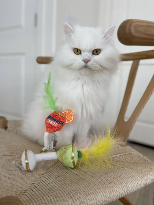 Kitty Cocktails (2 cocktails) Catnip Toys