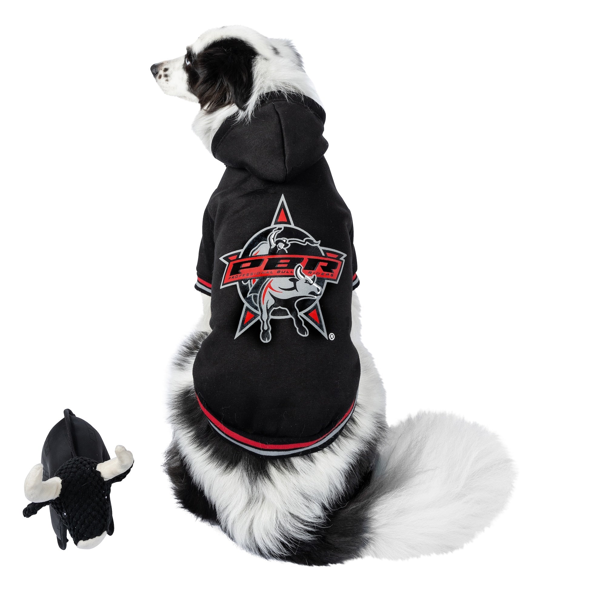 PBR Official Dog Star Logo Hoodie