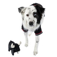 Load image into Gallery viewer, PBR Official Dog Star Logo Hoodie
