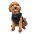 Load image into Gallery viewer, PBR Official Dog Puffer Vest - Zip-Up Insulated Pet Coat
