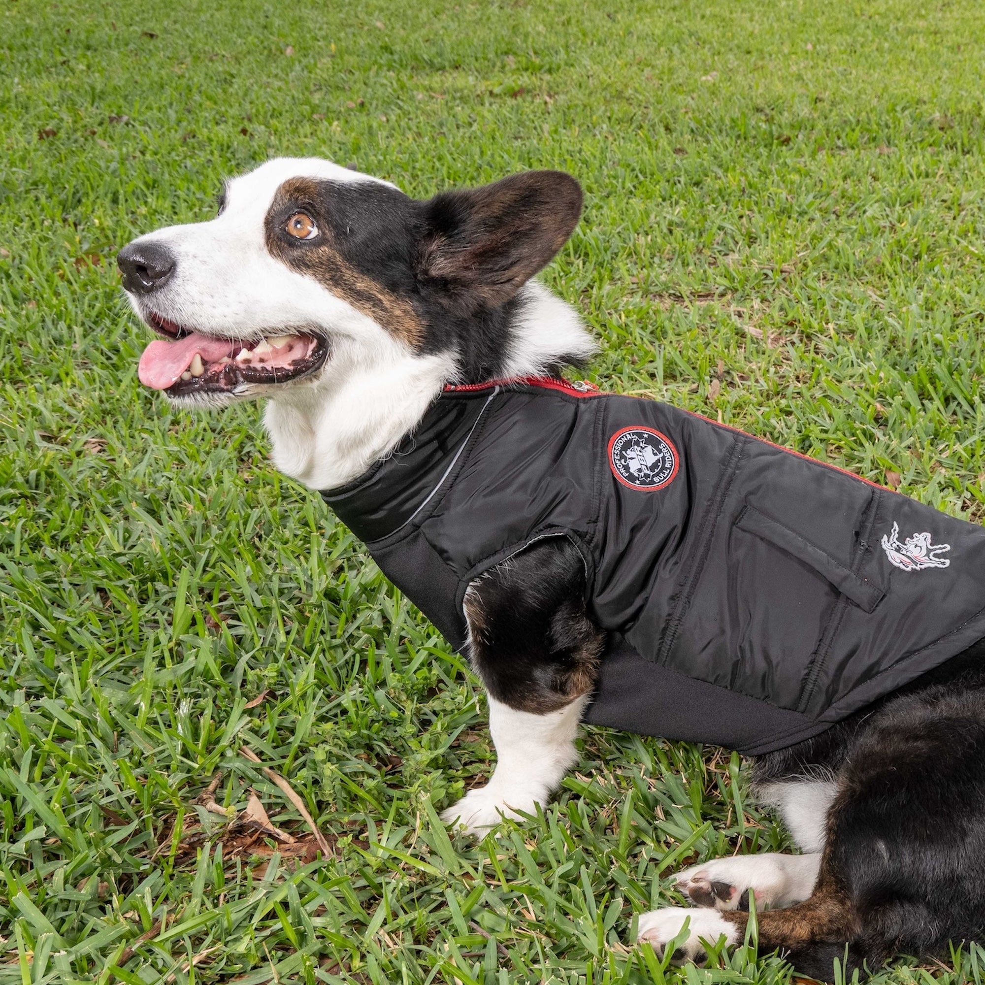 PBR Official Dog Puffer Vest - Zip-Up Insulated Pet Coat