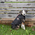 Load image into Gallery viewer, PBR Official Dog Puffer Vest - Zip-Up Insulated Pet Coat
