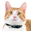 Load image into Gallery viewer, Las Vegas Knights Satin Cat Collar
