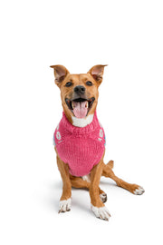 Alpaca Rose Fairisle Dog Sweater