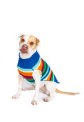Load image into Gallery viewer, Alpaca Royal Stripe Dog sweater
