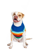 Load image into Gallery viewer, Alpaca Royal Stripe Dog sweater
