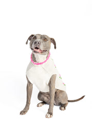 Rose Bud Dog Sweater