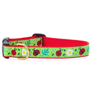 Ladybugs Wide Dog Collar