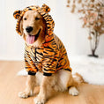 Load image into Gallery viewer, Large Dog Tiger Costume/PJs - Southlake Paws
