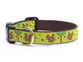 Load image into Gallery viewer, Nuts Dog Collar
