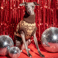 Load image into Gallery viewer, The Latte | Beige Turtleneck Dog Sweater
