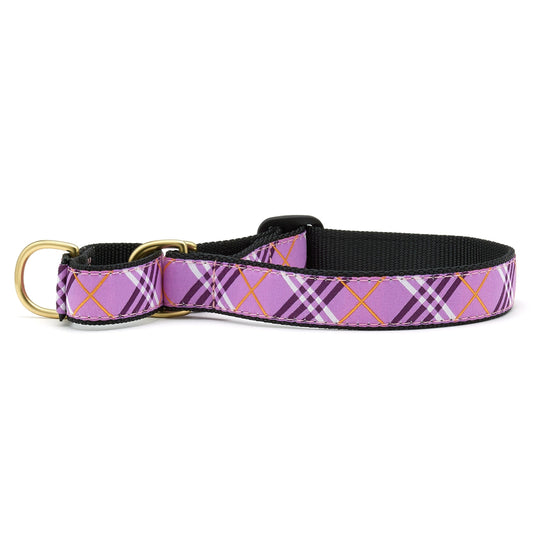 Lavender Lattice Martingale