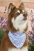 Load image into Gallery viewer, Lavender Blooms Dog Bandana & Matching Keychain - Southlake Paws
