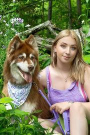 Lavender Blooms Dog Bandana & Matching Keychain