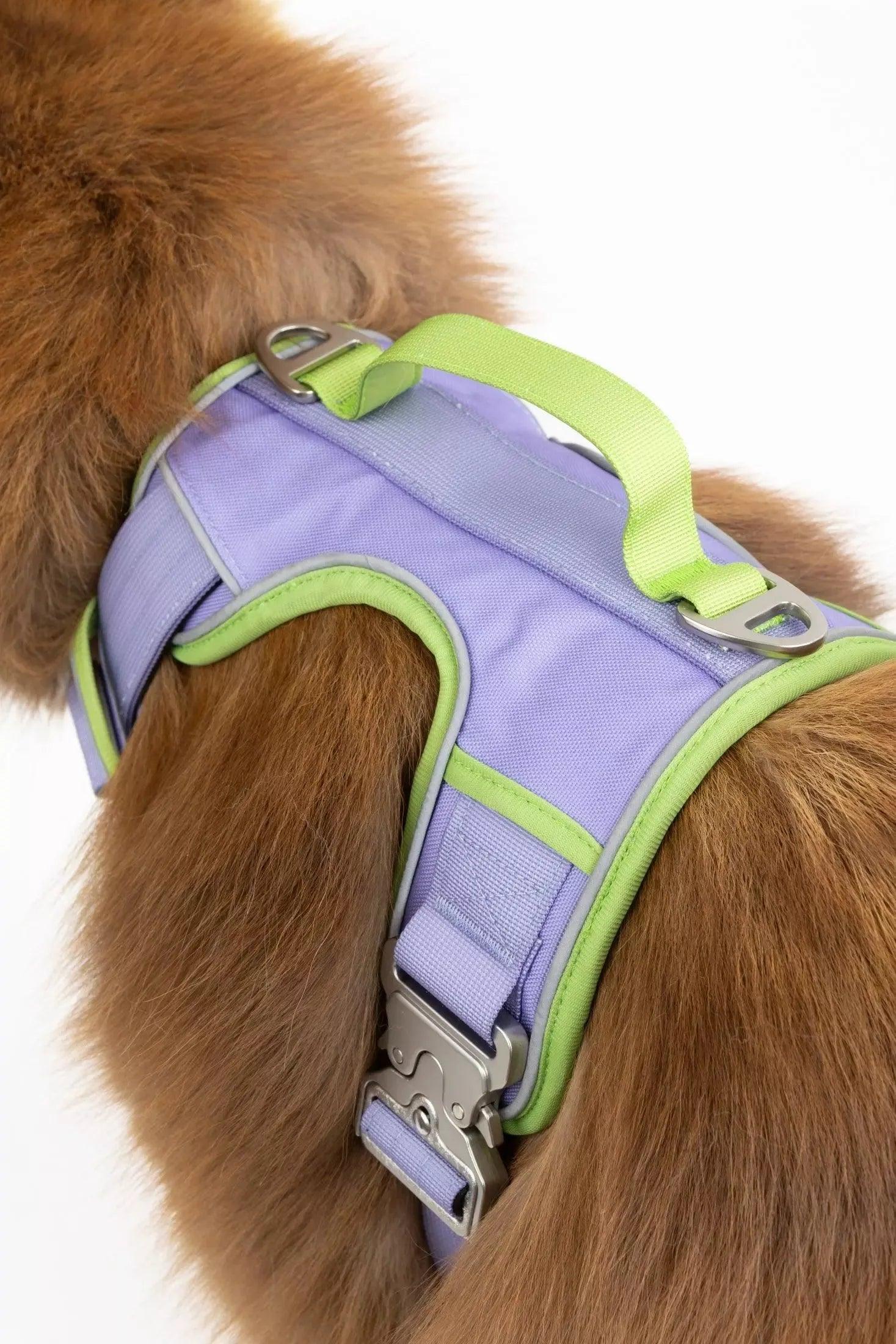 Lavender Garden Ultimate Dog Harness - Southlake Paws