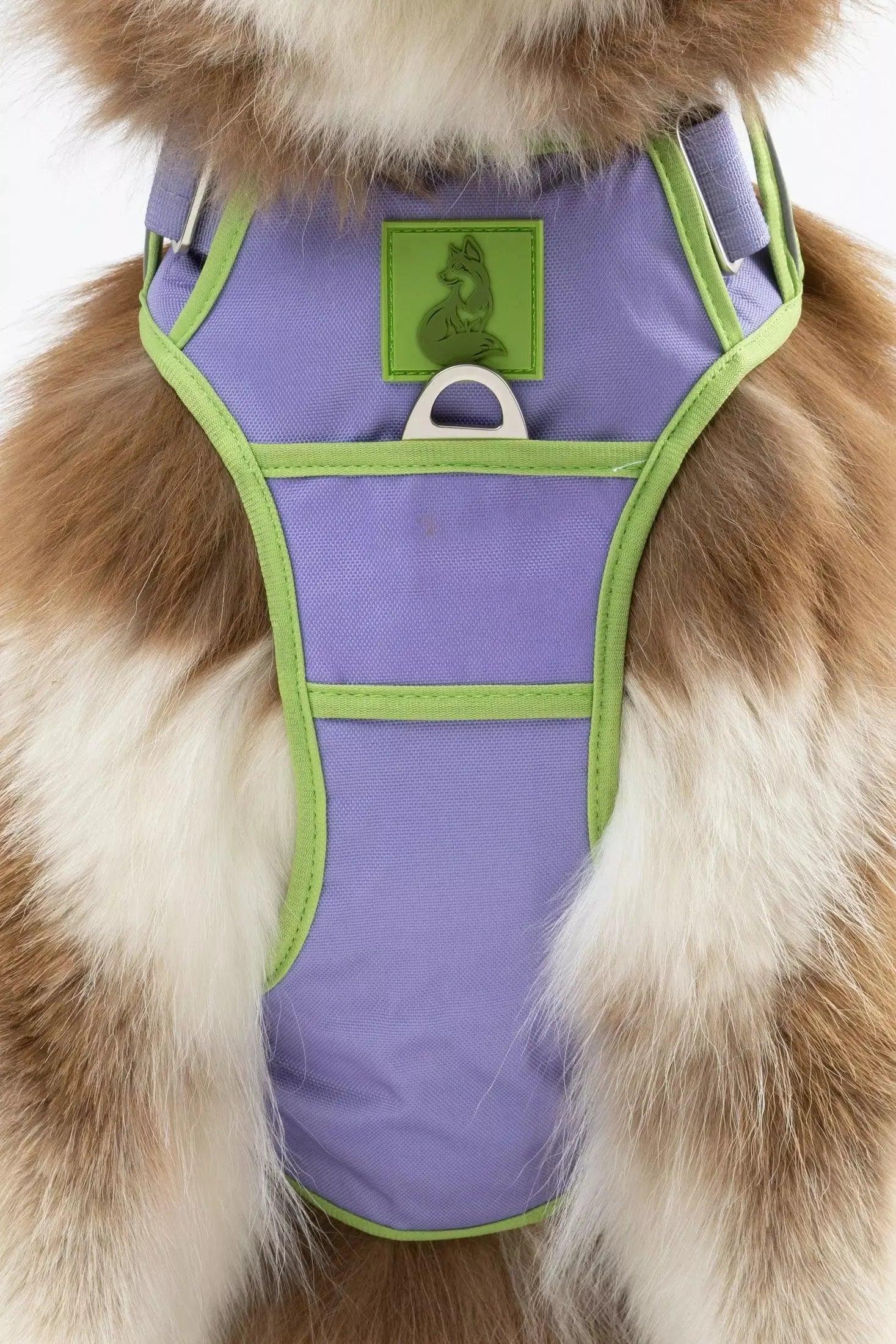 Lavender Garden Ultimate Dog Harness - Southlake Paws