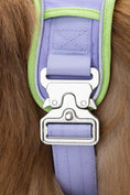 Load image into Gallery viewer, Lavender Garden Ultimate Dog Harness - Southlake Paws
