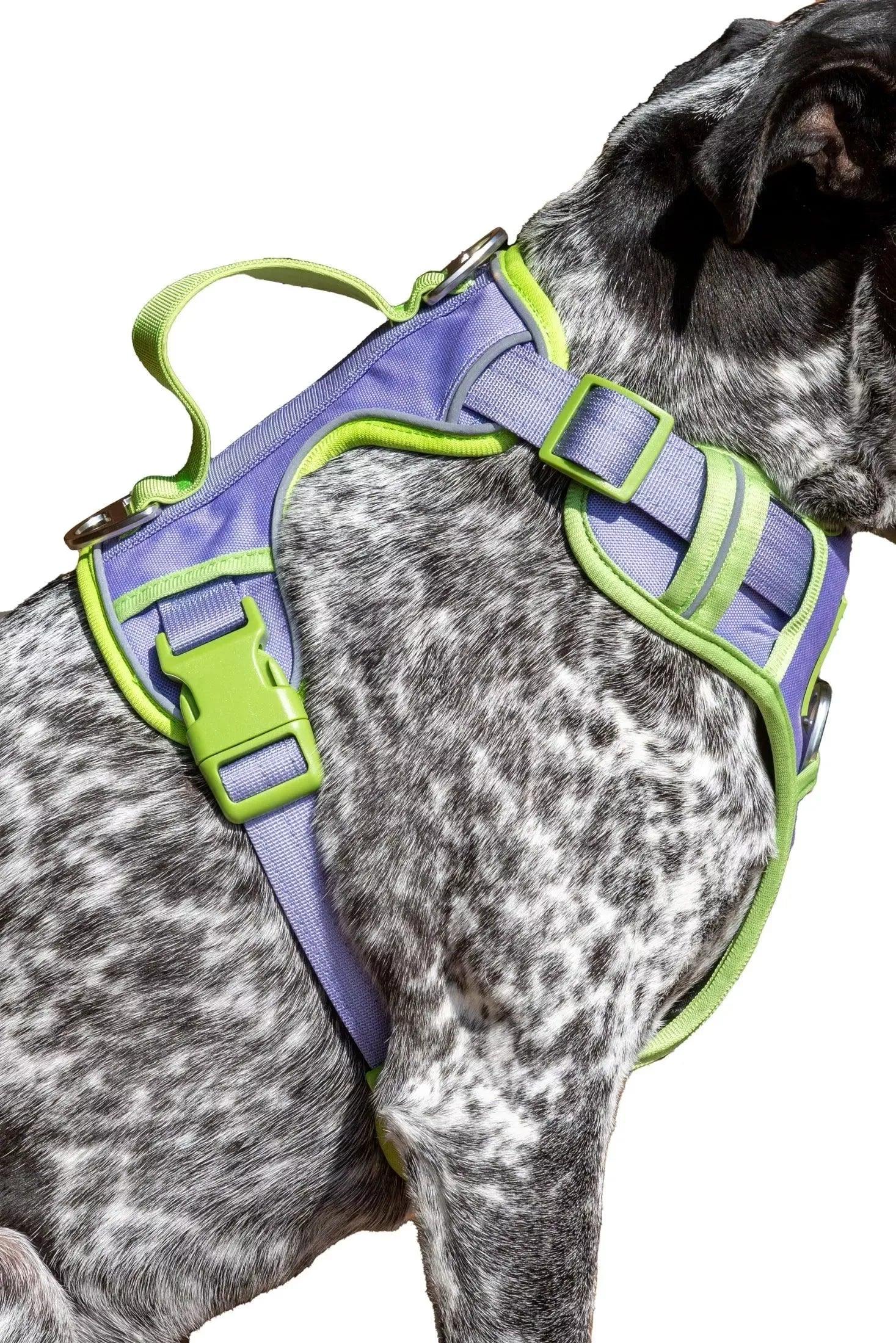 Lavender Garden Ultimate Dog Harness - Southlake Paws