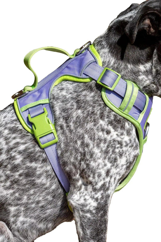 Lavender Garden Ultimate Dog Harness - Southlake Paws
