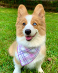 Load image into Gallery viewer, Lavender Luxe Flannel Dog Bandana
