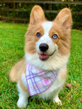 Load image into Gallery viewer, Lavender Luxe Flannel Dog Bandana
