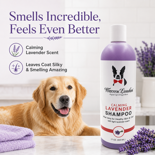 Southlake Paws Calming Lavender Dog Shampoo bottle next to a golden retriever, featuring lavender graphics and a soothing des