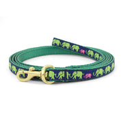 Leader of the Pach Small Breed Dog Lead